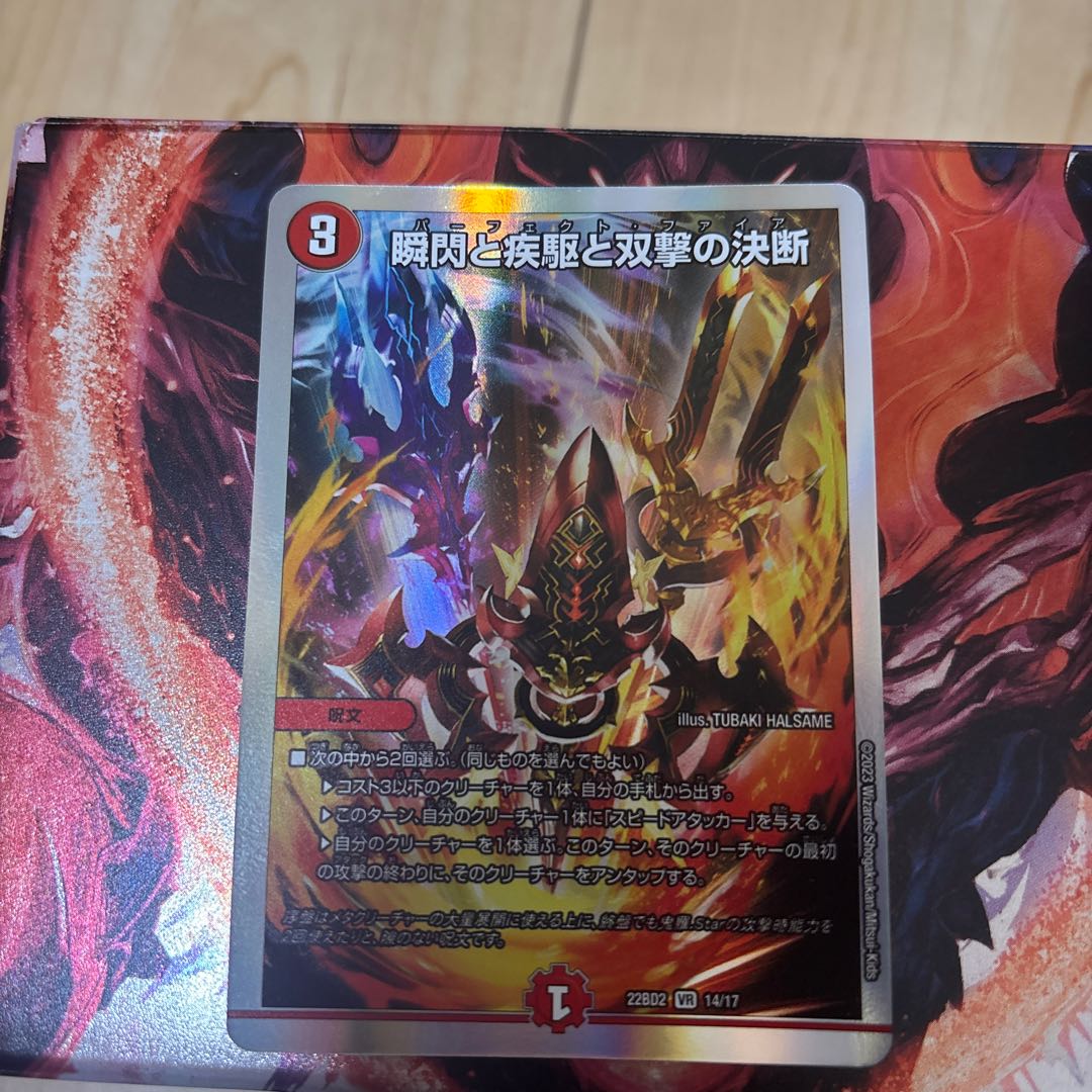 瞬閃と疾駆と双撃の決断 VR 14/17