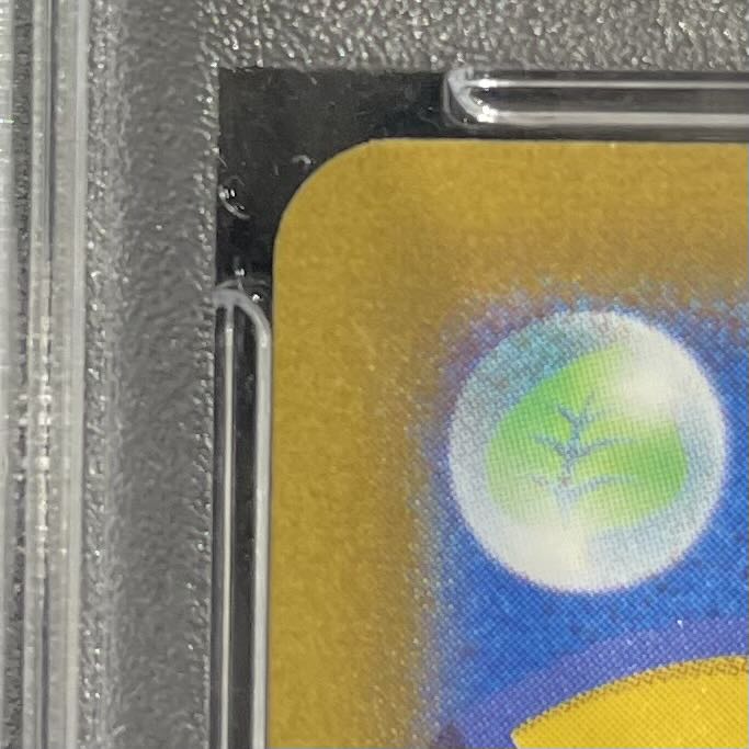 [PSA10] LeafeonVMAX 《SA》 (HR) {089/069} [S6a/Eevee Heroes] [SS 1枚