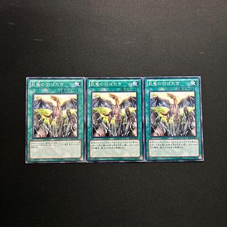 3911 巨竜の羽ばたき ノーマル JP025