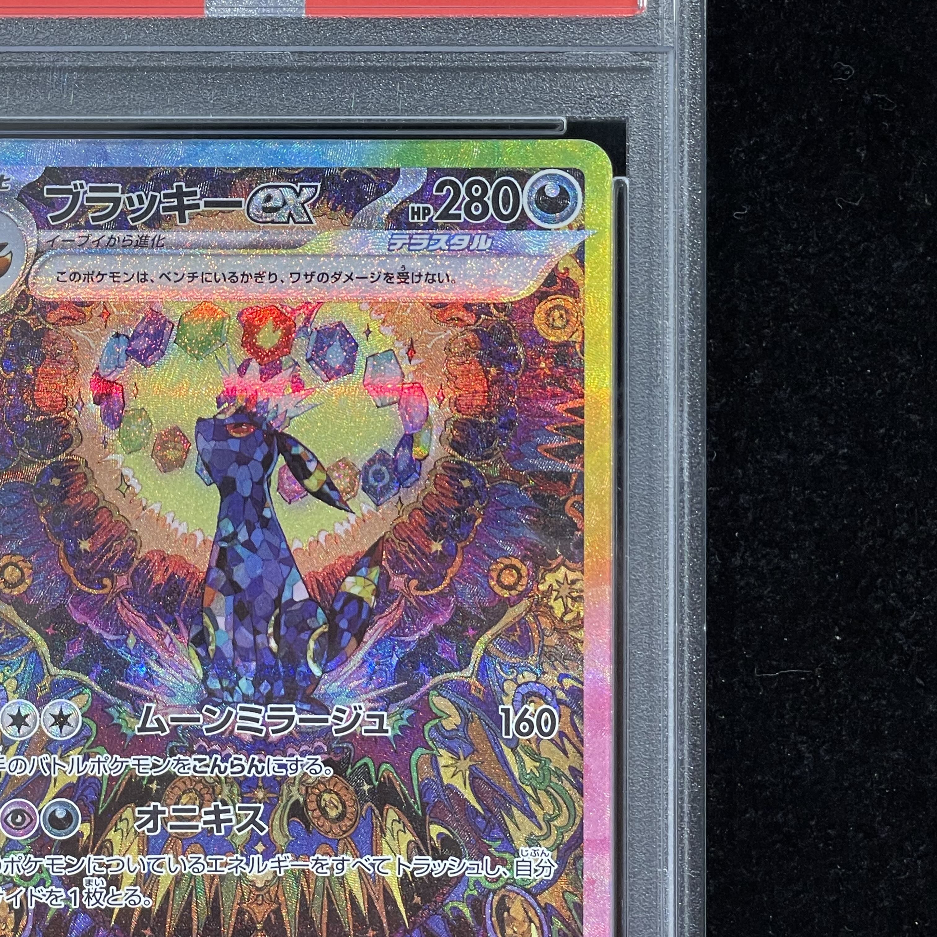 【PSA10】ブラッキーex SAR 217/187 1枚