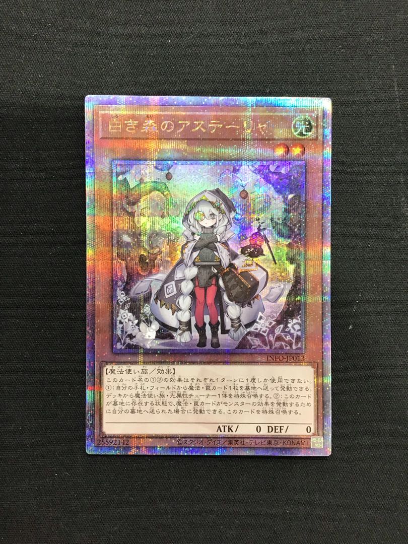 Astrella in the White Forest 25th