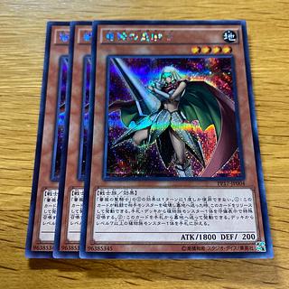 Rose Paladin Secret Rare JP004