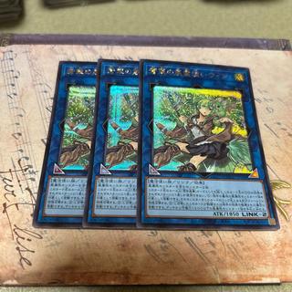 Wynn the Wind Charmer, Verdant Secret Rare QCCU-JP188 3枚