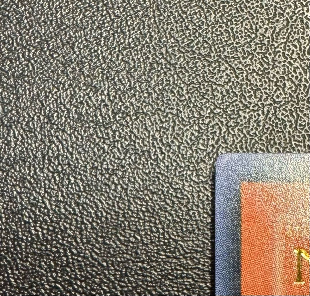 Nブラックパンサー/獣族/遊戯王カード/ レリーフ/アルティメットレア 1枚