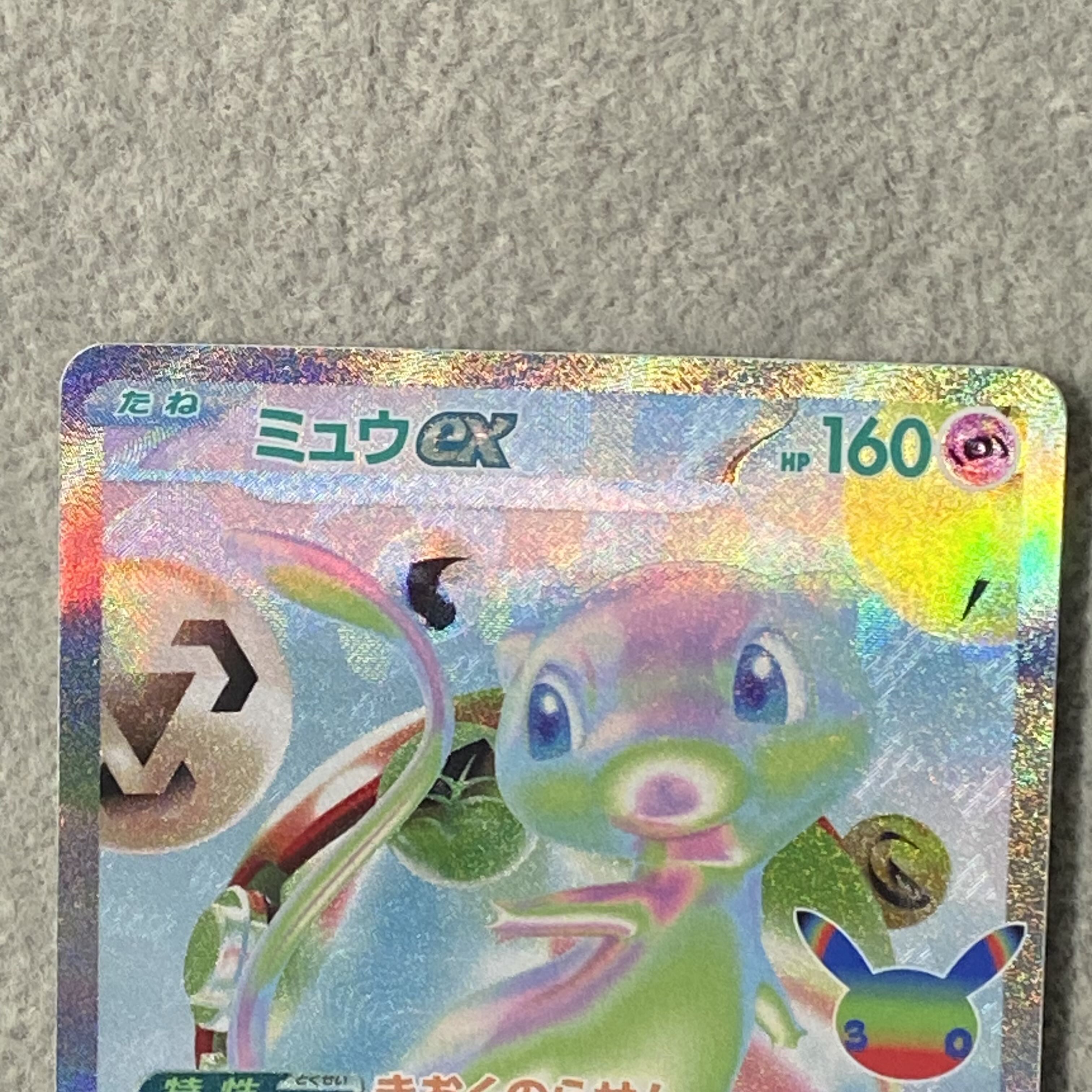 Mewex FUR 135/103 1枚
