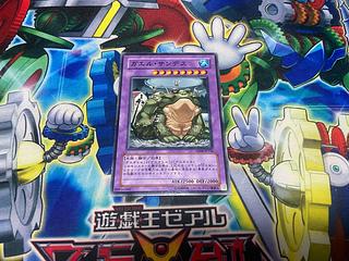 Y-1362 D.3.S. Frog Normal JP156