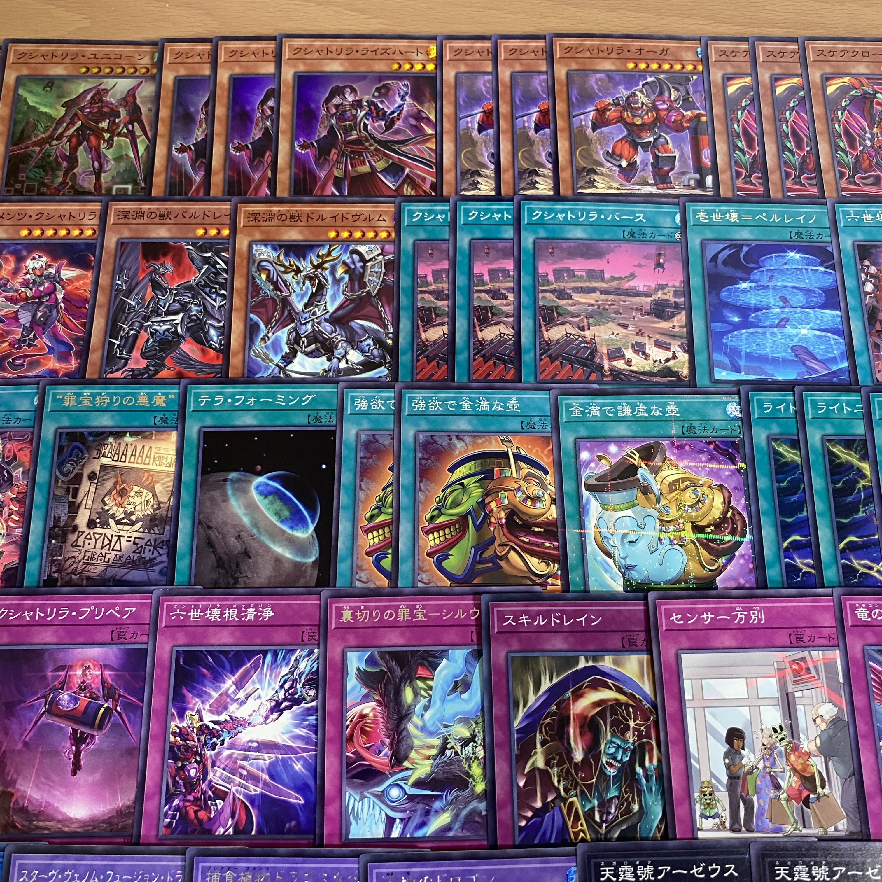 遊戯王 本格構築済み クシャトリラ デッキ アライズハート 遊戯王 本格構築済み クシャトリラ デッキ アライズハート