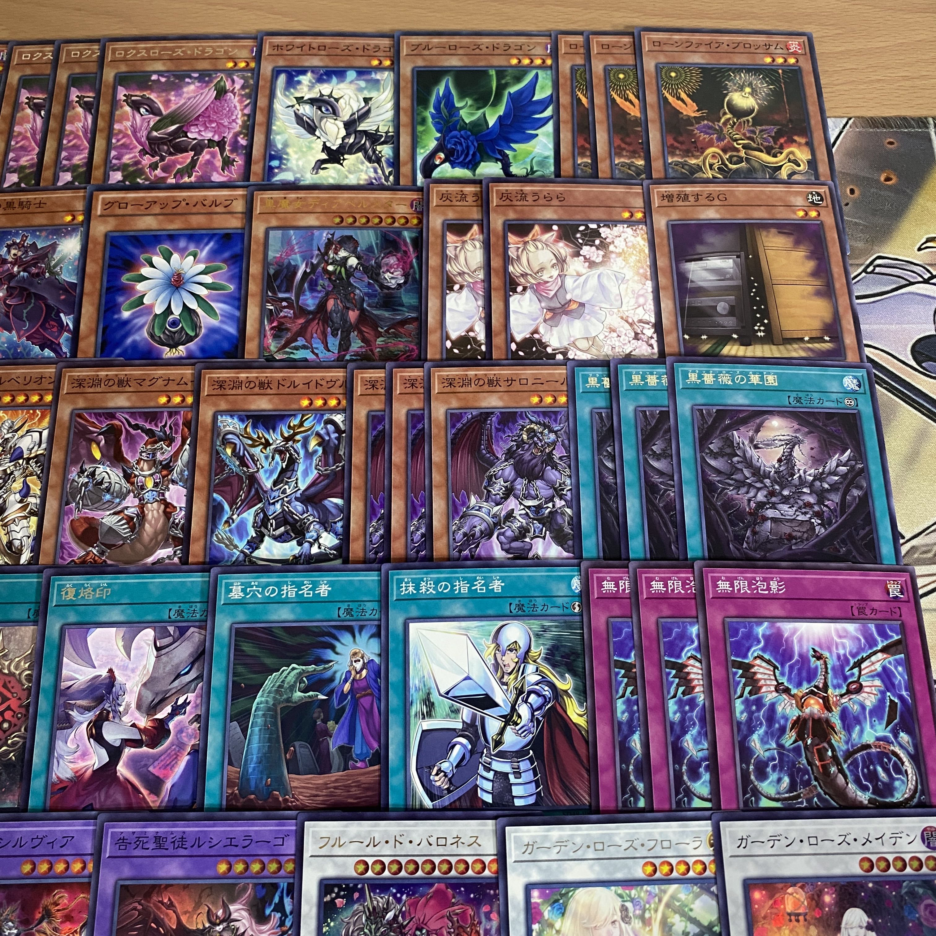 Black Rose Dragon Deck [search below Black Rose Ruination Dragon, Yu-Gi-Oh, authentic construction, early 2nd period, relief, gateball, BLAZING DOMINION]. 1枚