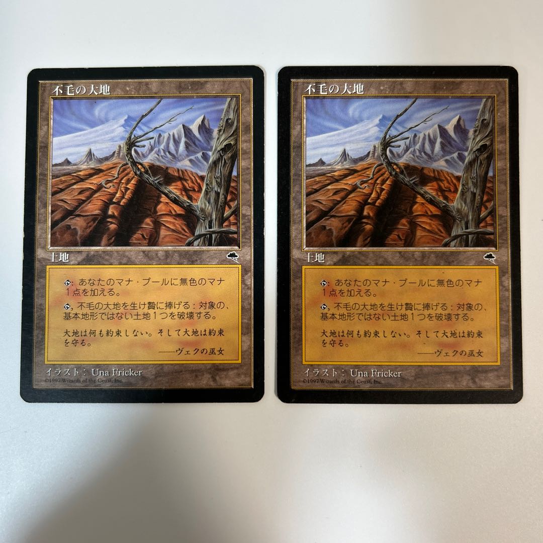 MTG Wasteland TMP Japanese 2-card set