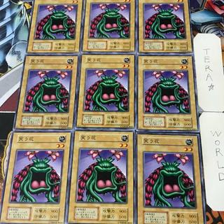 笑う花 3 初期 ノーマル 9枚セット てら 9枚