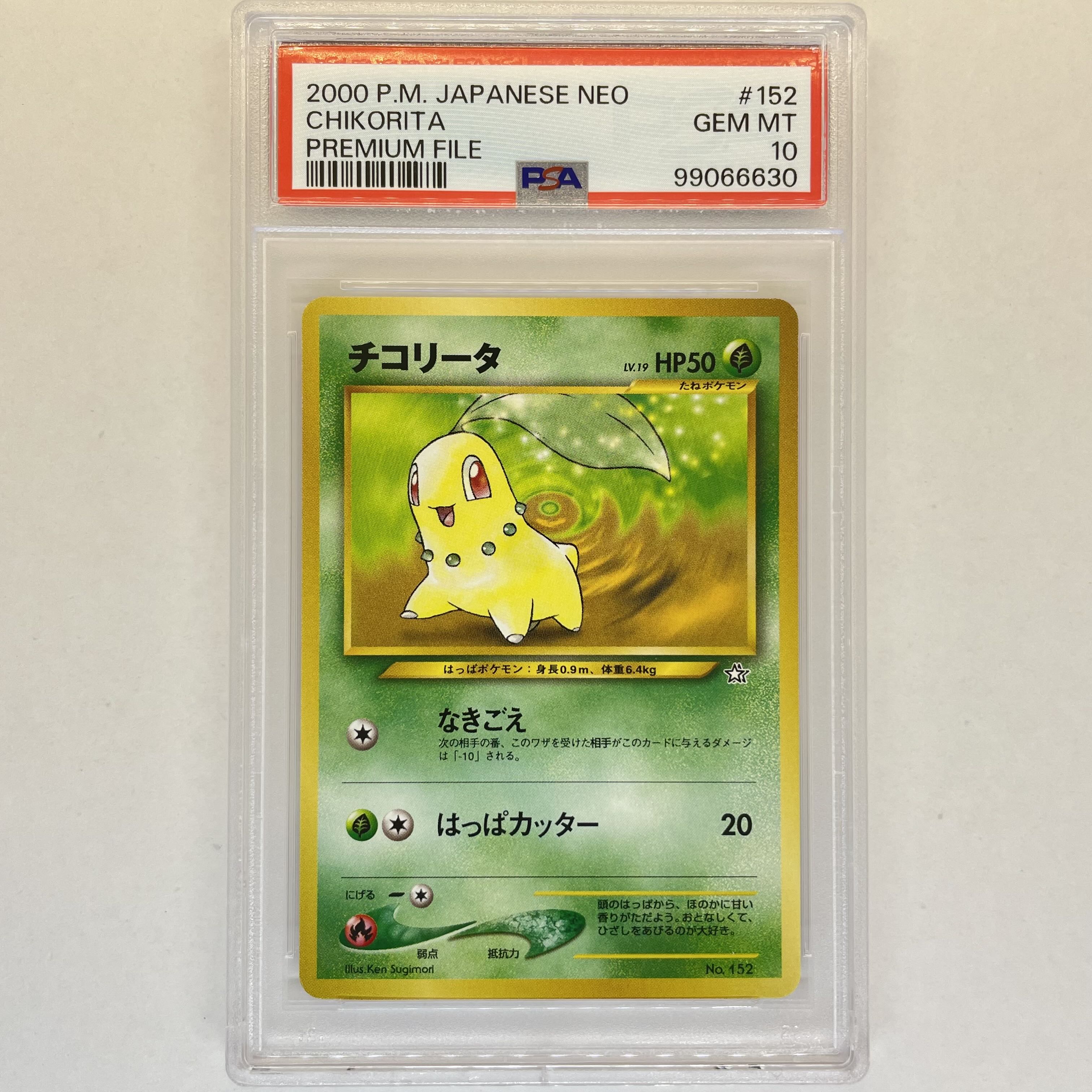 チコリータ 旧裏 PSA10 ポケモンカード 旧裏面 プレミアム チコリータ 旧裏 PSA10 ポケモンカード 旧裏面 プレミアム