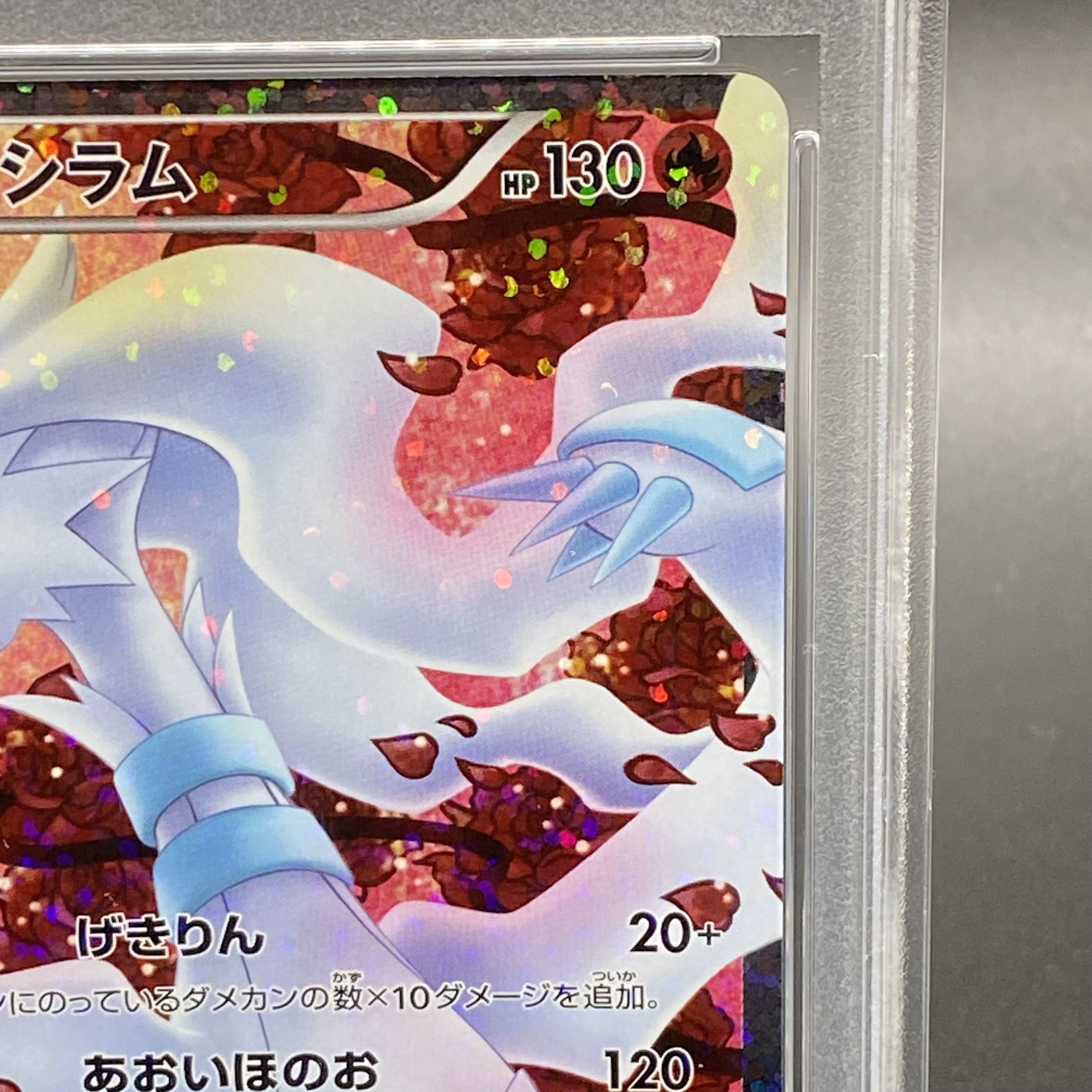 PSA10】レシラム SR 022/020の通販 土日祝休@magi公式 PSA10】レシラム SR 022/020の通販 土日祝休@magi公式