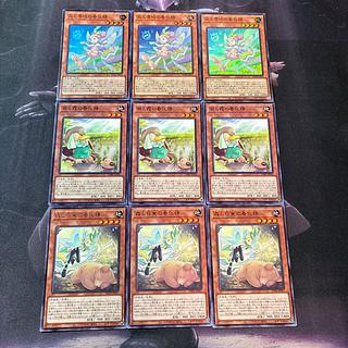 Hills and budding vernalization spirit Goddess Vera vernalization spirit deck parts B-40