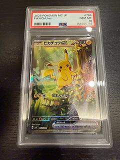 Erika's Hospitality umbrella Erika SR 190/173 1枚