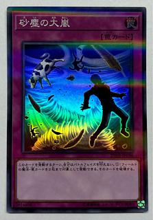 Heavy Storm Duster Super Rare