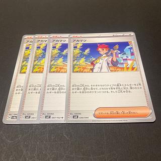 アカマツ 163/187