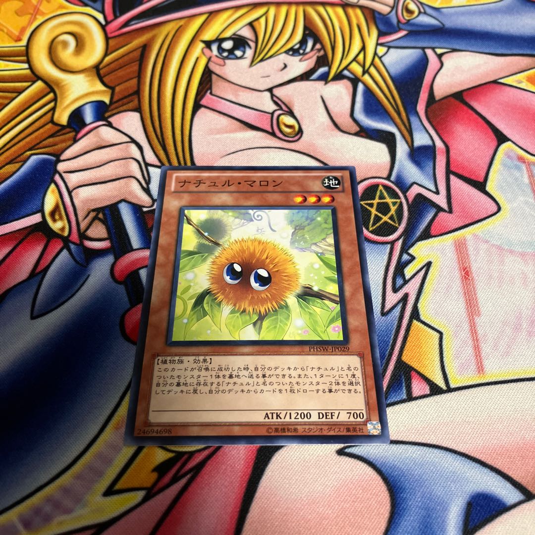 ナチュル・マロン ノーマル JP029 1枚