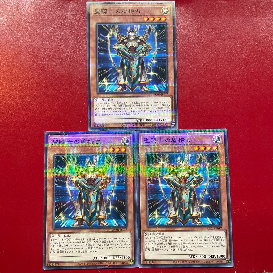 Aiu. Noble Knight's Shield-Bearer Parallel Normal JP017 1枚