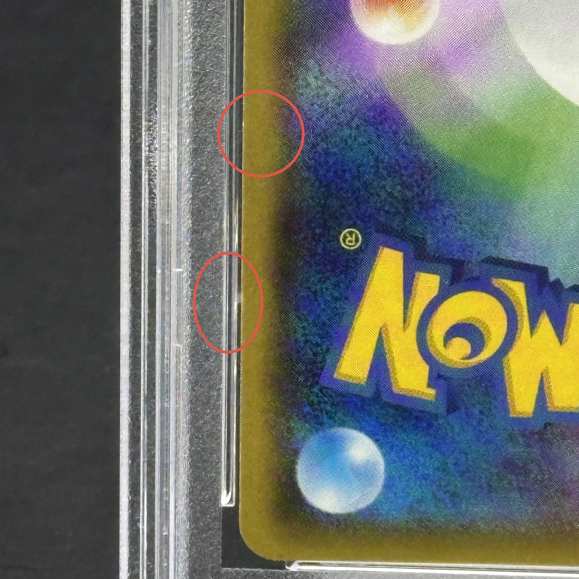 PSA10] Magikarp Gokko Pikachu PROMO 150/XY-P