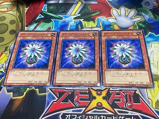 Y-3955 Glow-Up Bulb Normal JP018 3枚