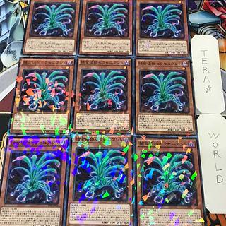 1 Normal Parallel, Effect, Set of 9, Tera. 9枚