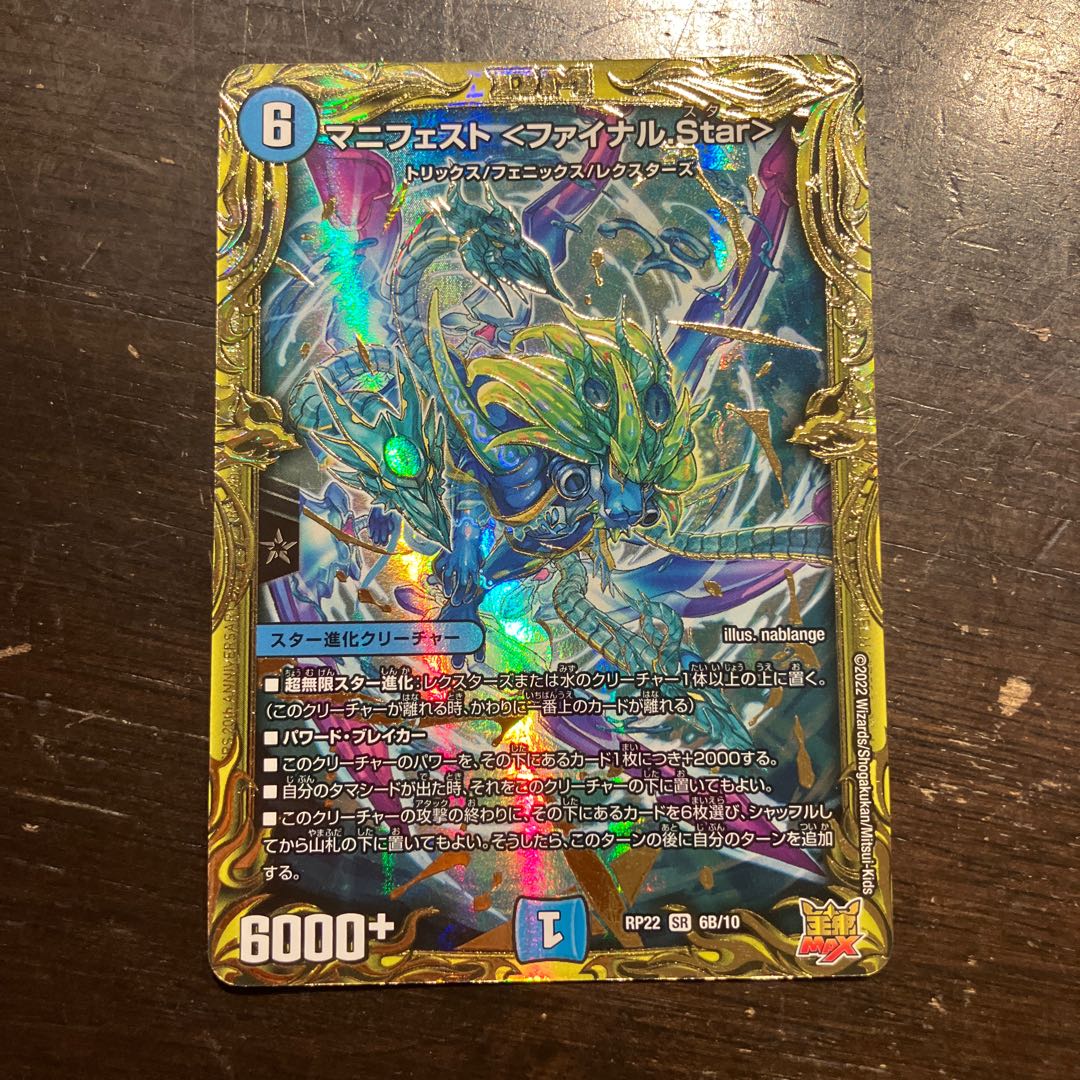 Manifesto <Final Star>.