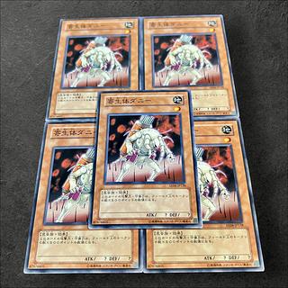 a908【遊戯王】寄生体ダニー　5枚セット