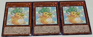 (Set of 3) Doradora [Normal] {INFO-JP028} 3枚