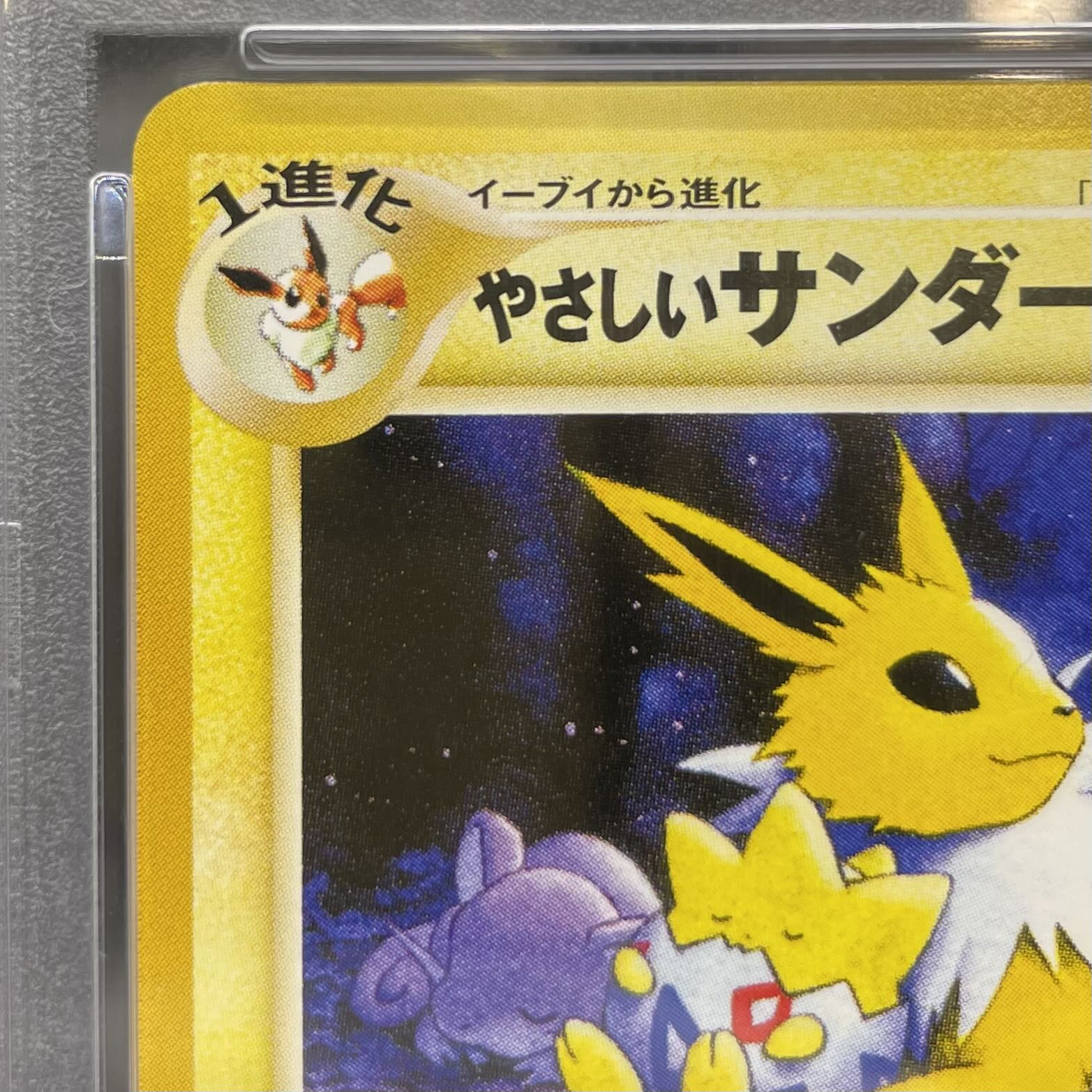 【PSA10】やさしいサンダース　旧裏 1枚
