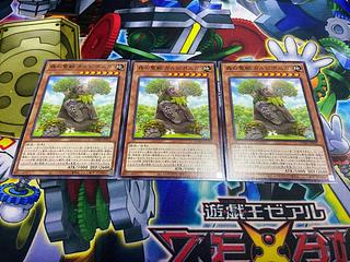 Y-712 Carpiponica, Mystical Beast of the Forest Normal JP022