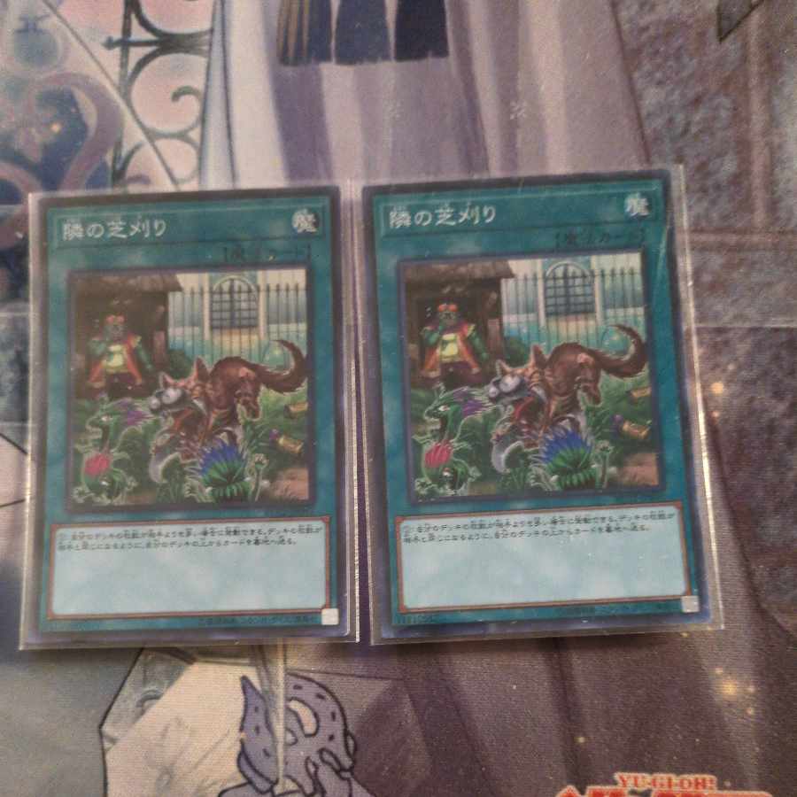 That Grass Looks Greener Super Rare JP041