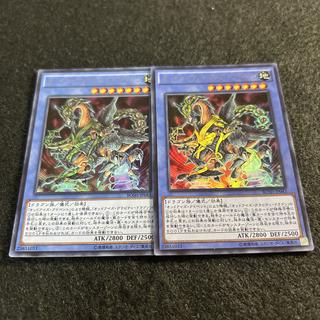 a2886 [Yu-Gi-Oh!] Odd-Eyes Gravity Dragon 2-Card Set 2枚