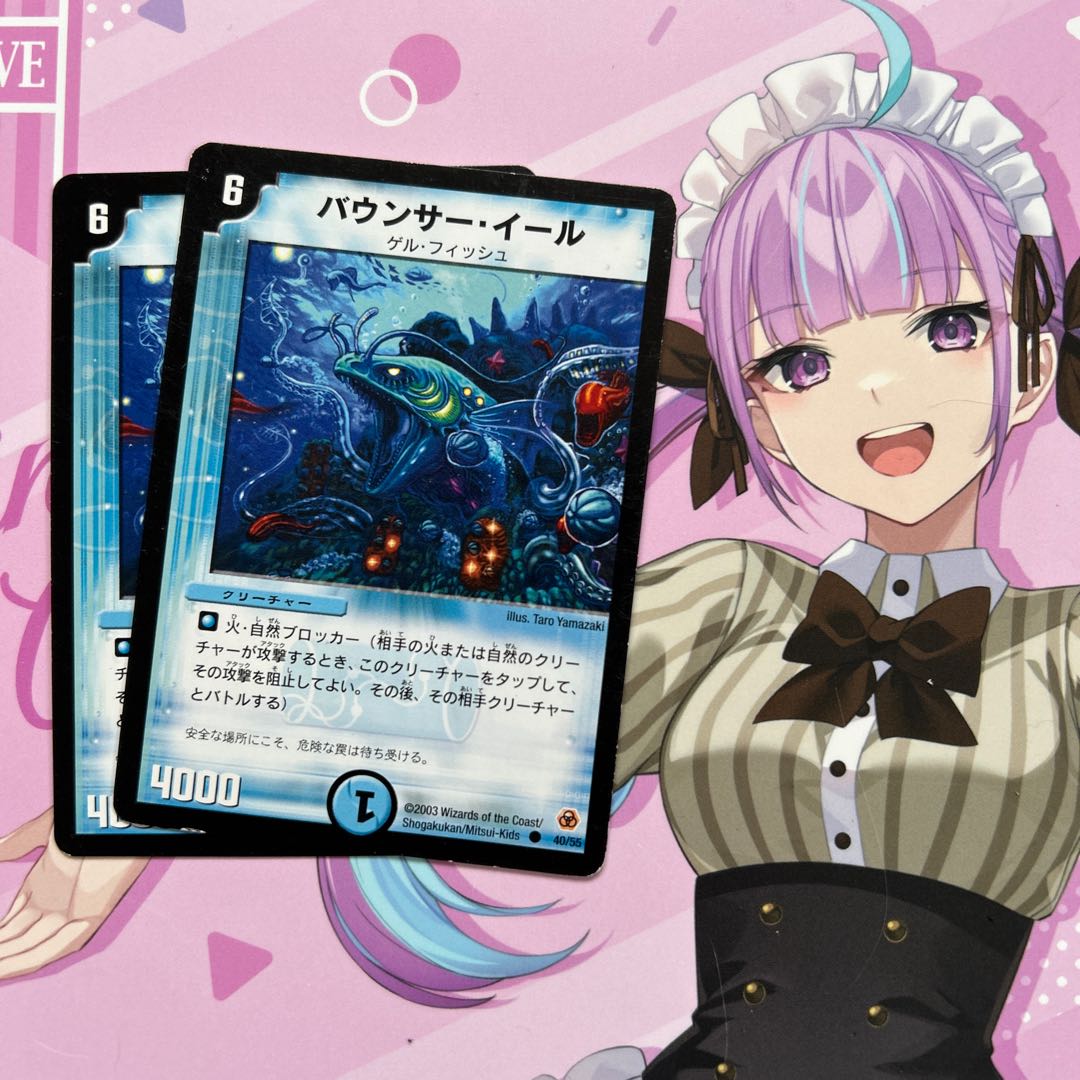 バウンサー・イール C 40/55