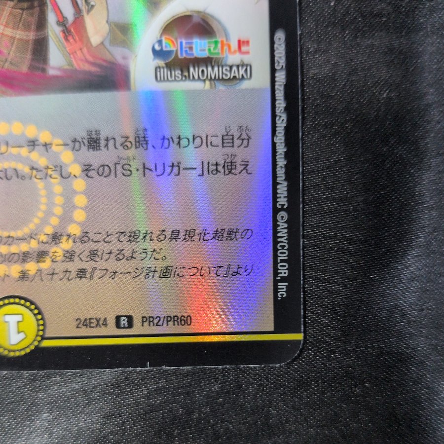Seihiki Kikai Ernadonna R-foil PR2/PR60 1枚