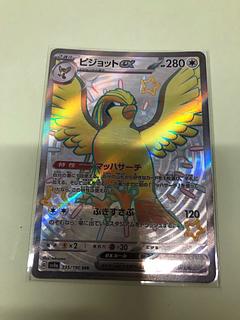 Pidgeotex SSR 335/190 1枚