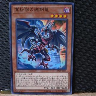 [Popotan] Yu-Gi-Oh!  6392  Red-Eyes Retro Dragon   Normal 1枚