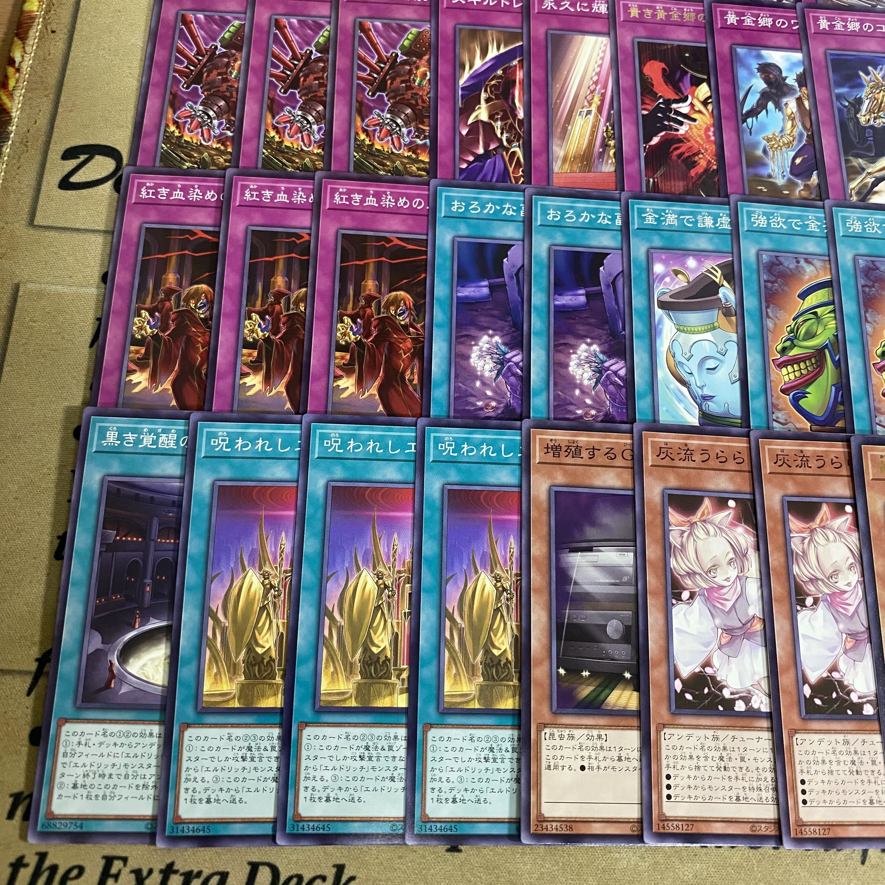 エルドリッチ デッキ【以下検索 遊戯王 本格構築 灰流うらら 黄金狂エルドリッチ カオスアンヘル混沌の双翼 無限泡影 ガルーラ】 1枚
