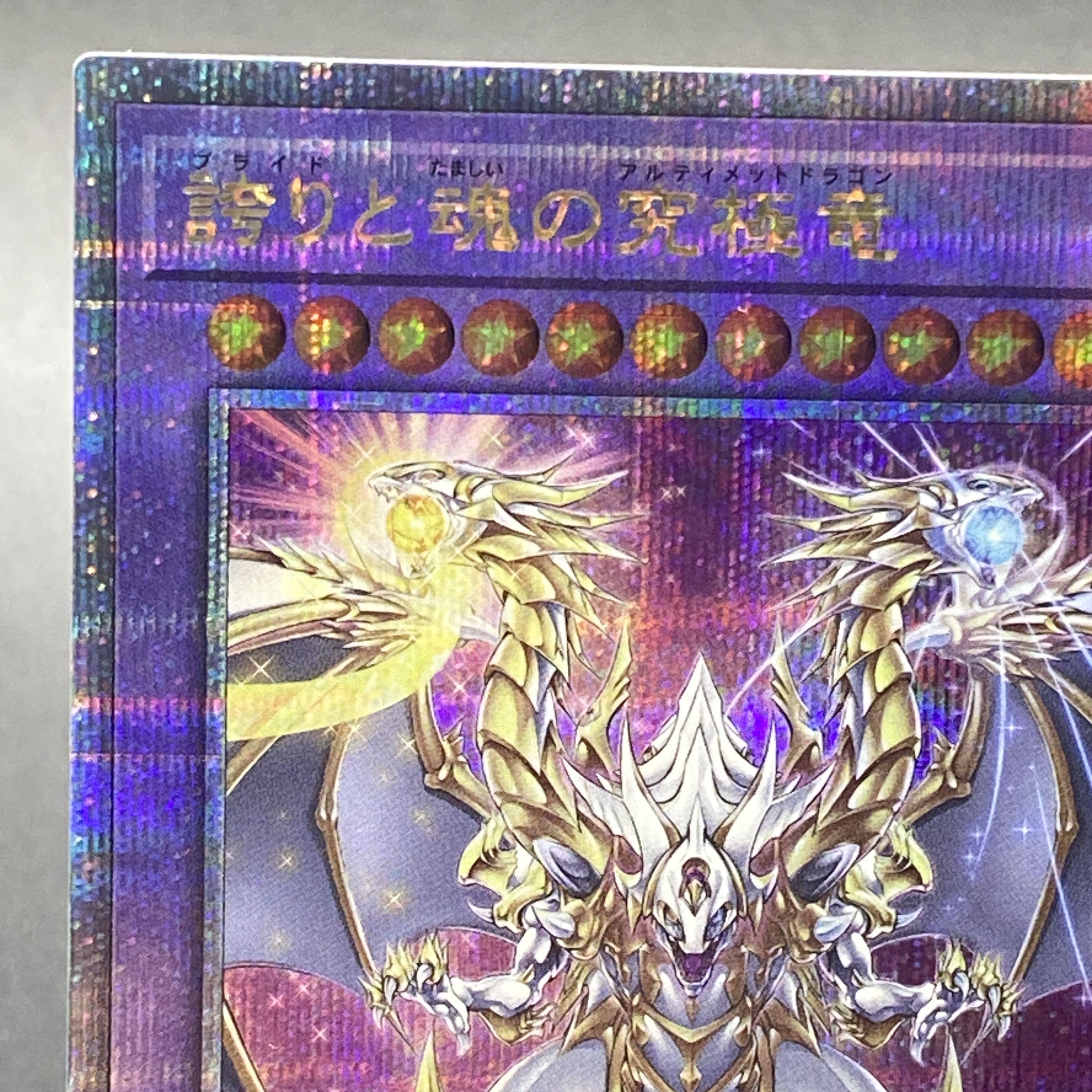 誇りと魂の究極竜 QCSE・25thシク ROTA-JP000 1枚