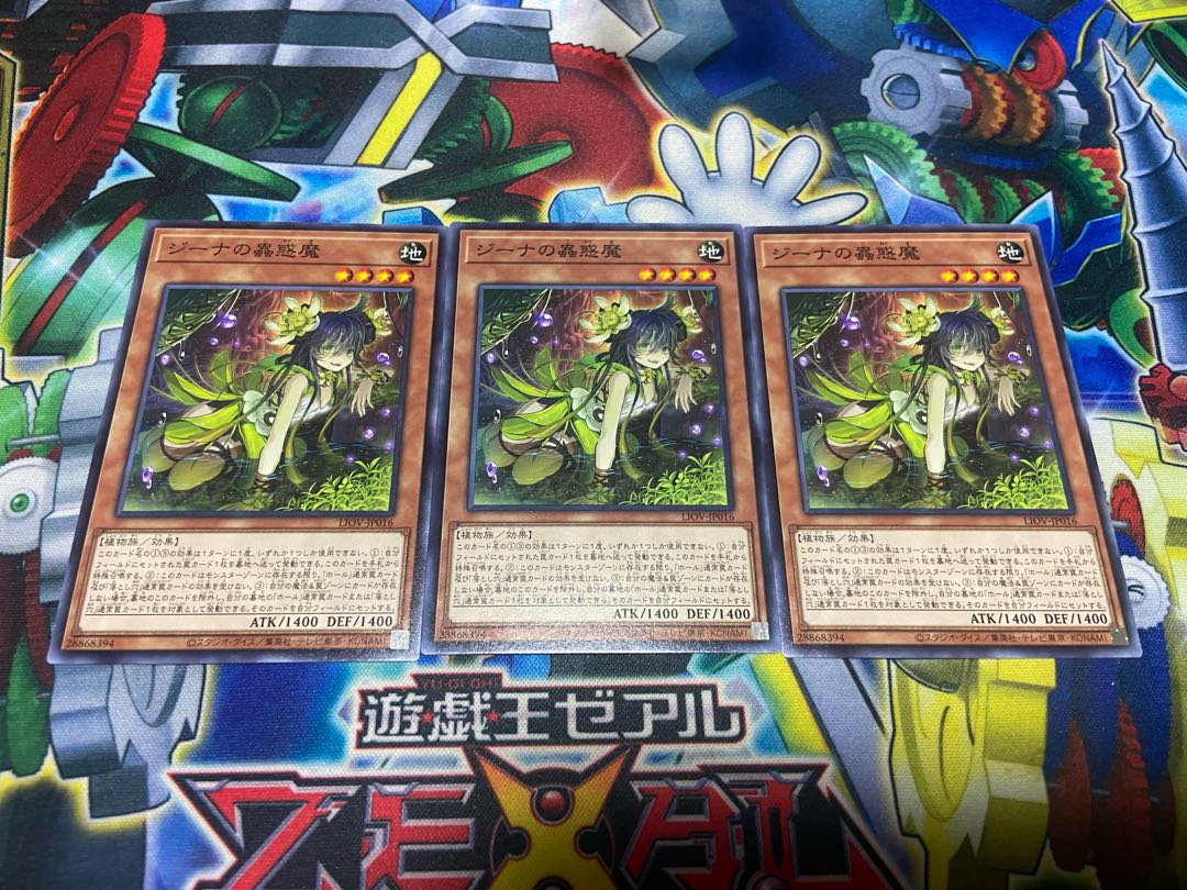 Y-1068 Traptrix Vesiculo Normal JP016