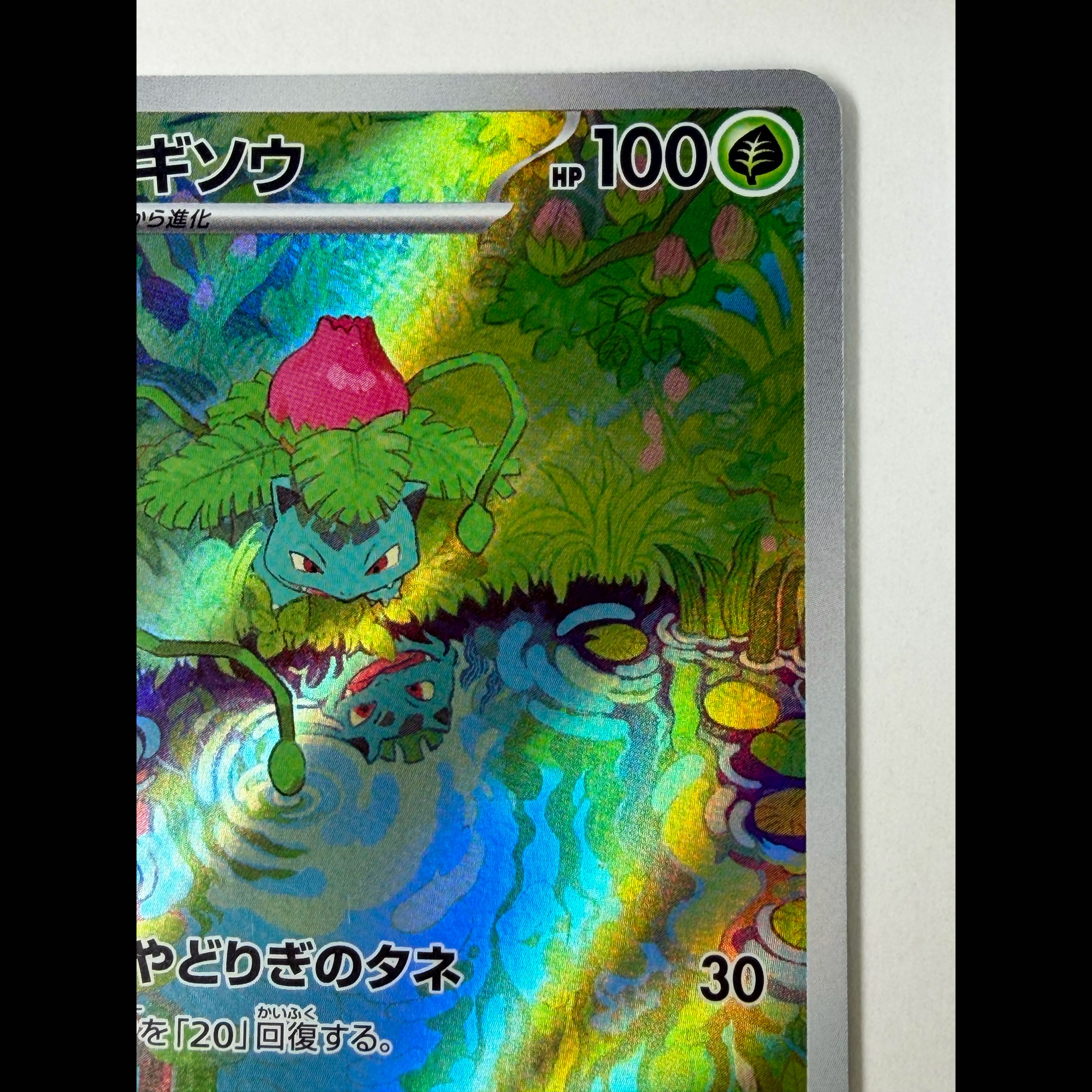 Ivysaur AR 167/165 1枚
