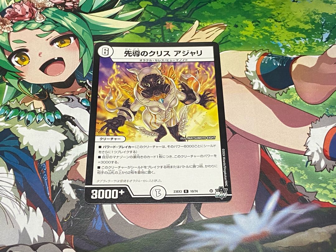 D-33 Leading Ku Squirrel Ajari R 10/74 1枚