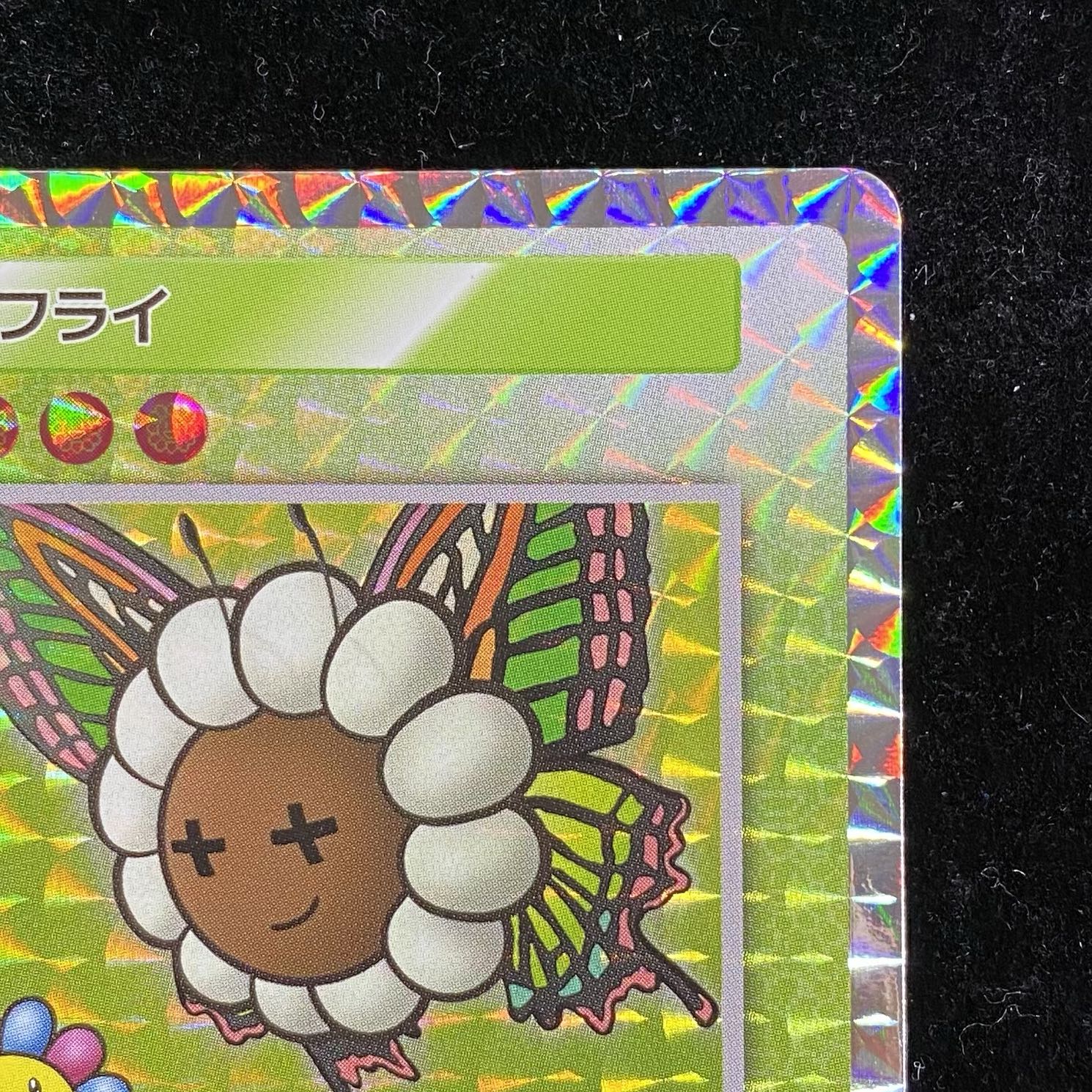 Murakami.Flowers バタフライ SR SP-095 1枚