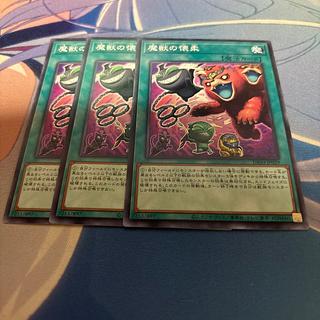 Obedience Schooled Normal DBJH-JP029