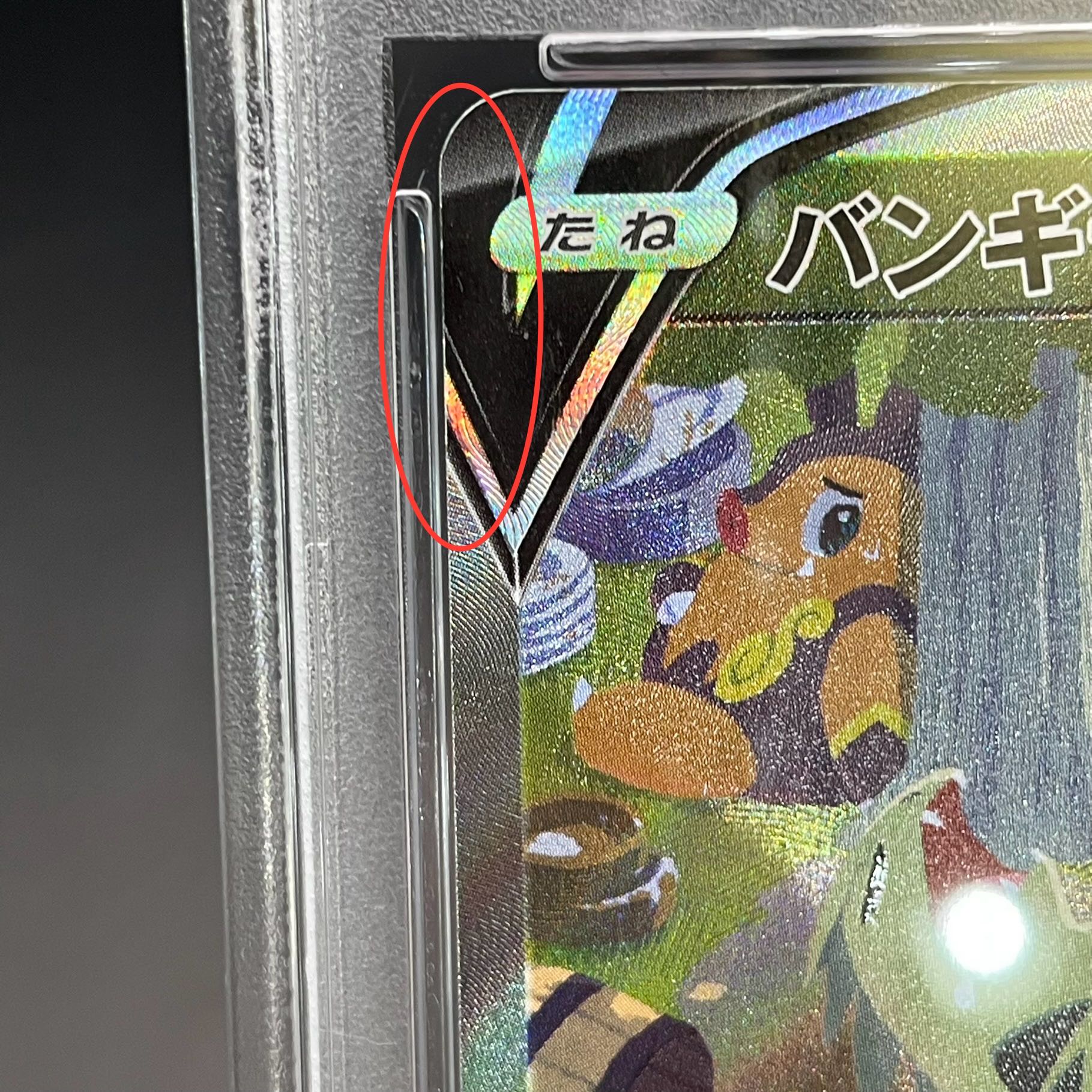 【PSA10】バンギラスV SR 077/070