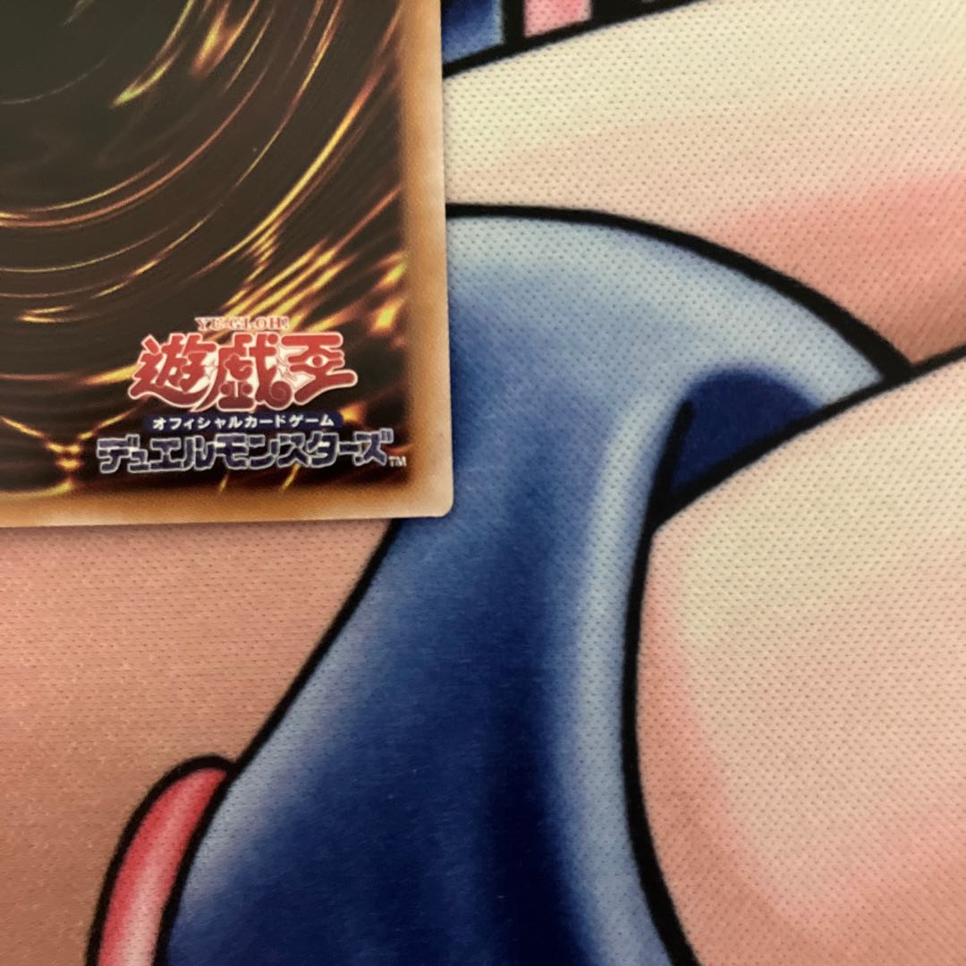 Arcana RiryokuEX-THE CHAOS RULER QCSE, 25th Sikh SUDA-JP034