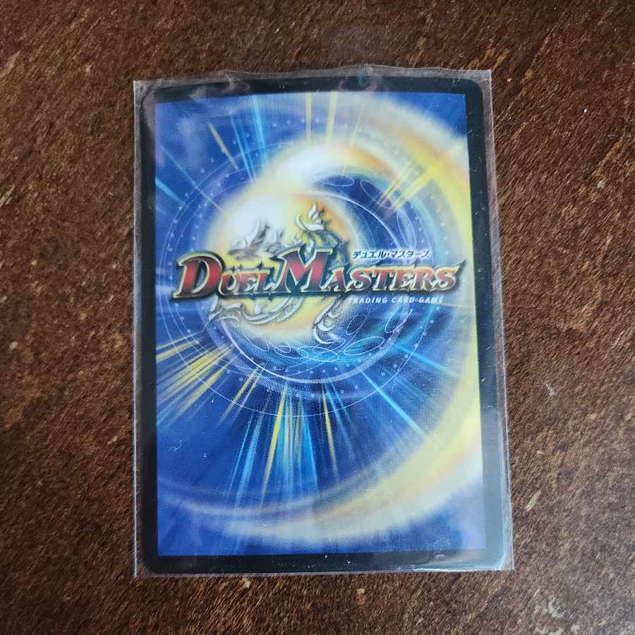 炎氷渦と鎮魂禍の決断 SR S10/S11