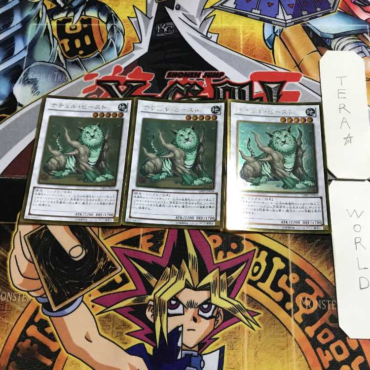 Naturia Beast 1 Gold Set of 3 Tera