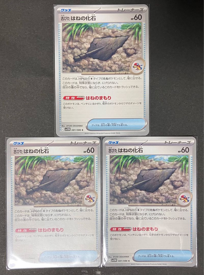 古びたはねの化石 C 081/086