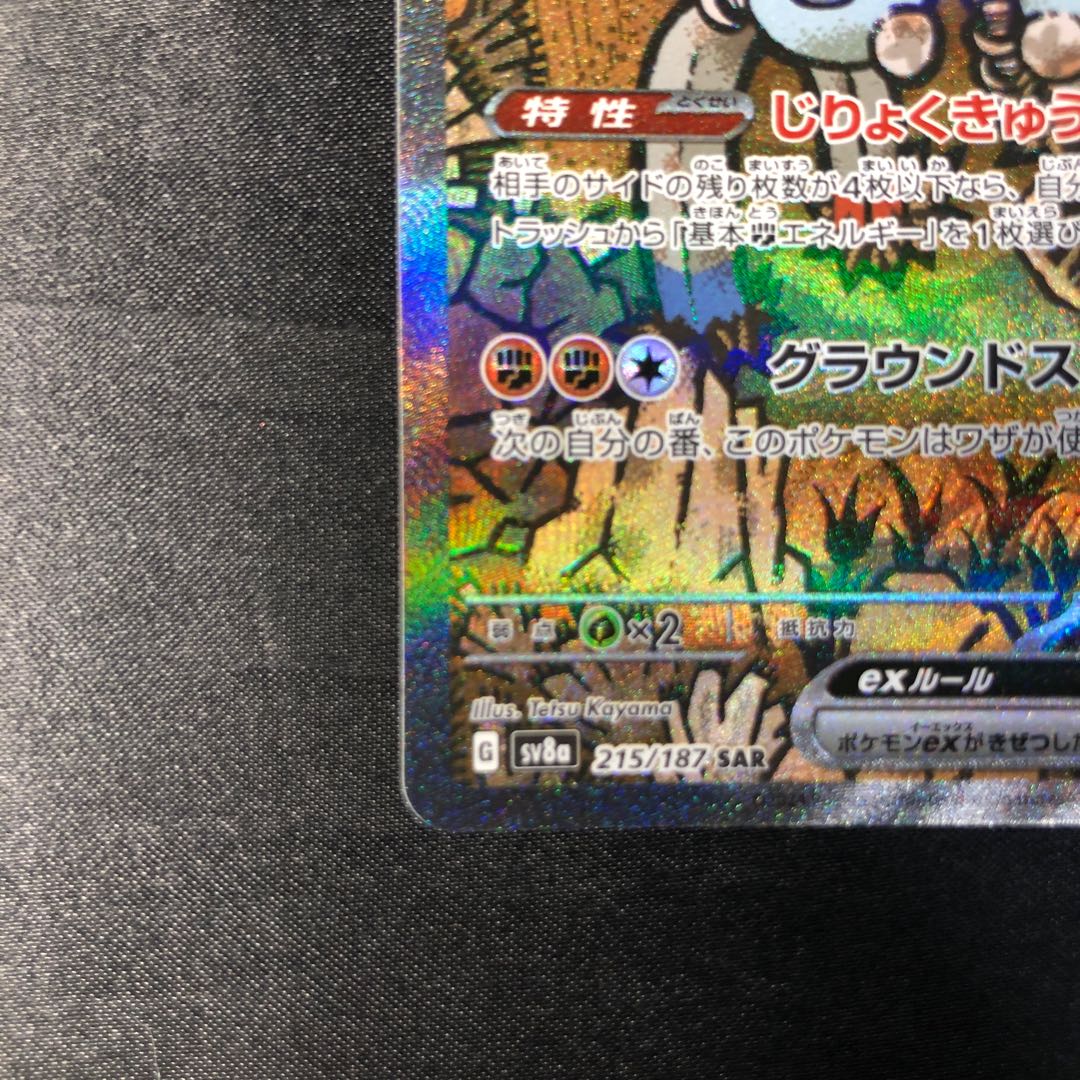 Sunanokegawa ex SAR 215/187