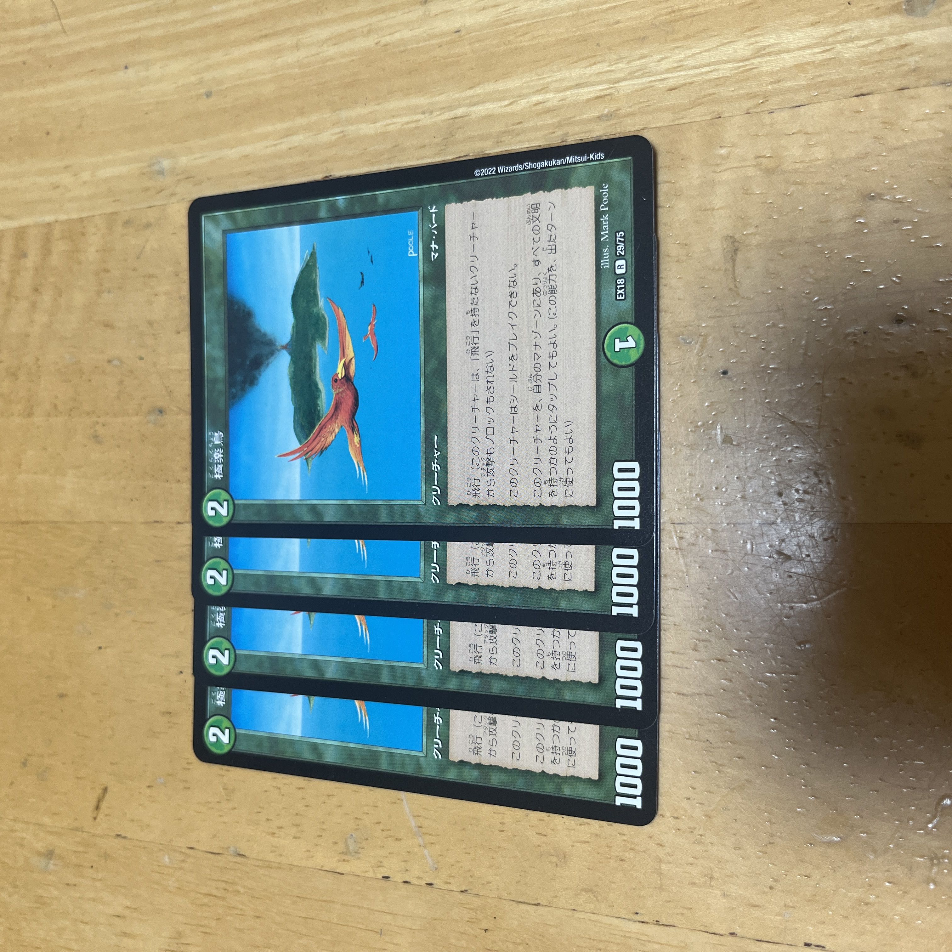 Birds of Paradise R 29/75